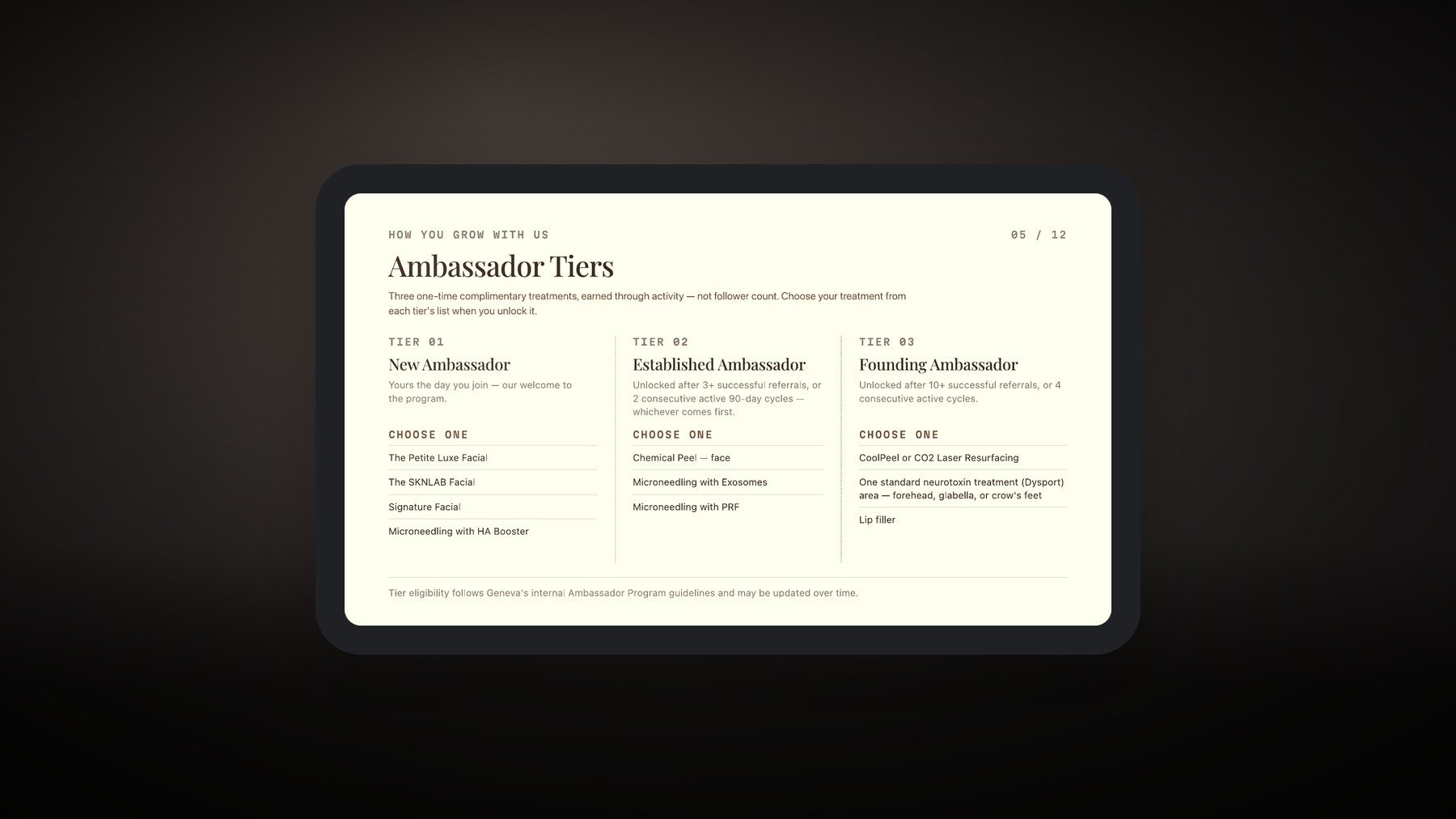 The three ambassador tiers
