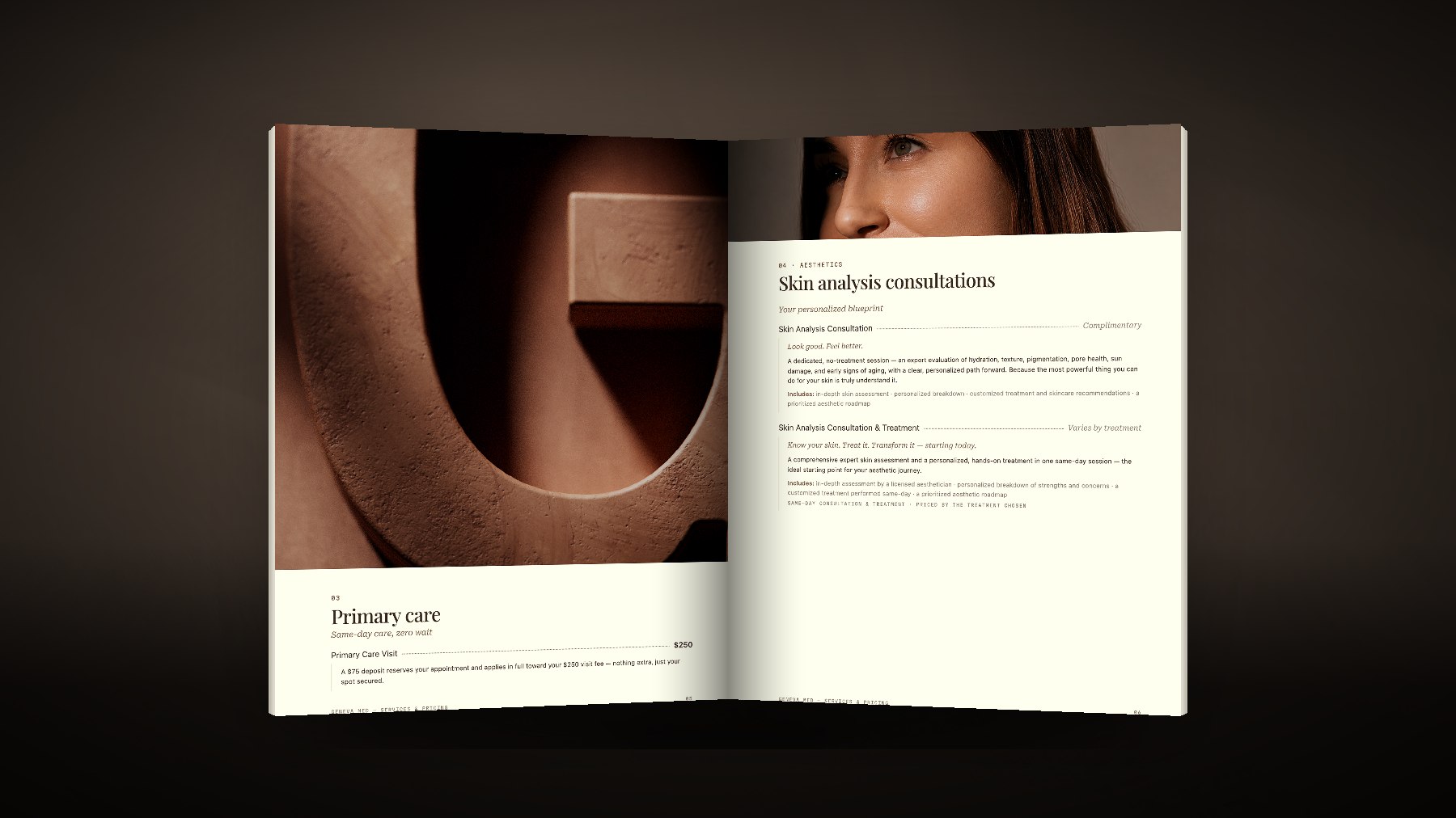 The pamphlet opened &mdash; primary care and skin analysis